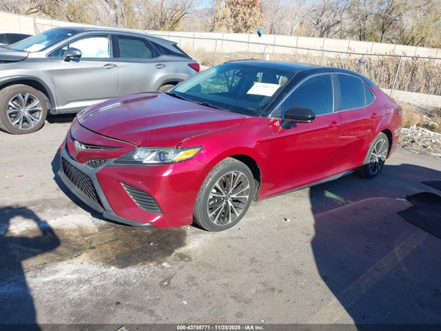 4T1B11HK1JU542666 Toyota CAMRY SE