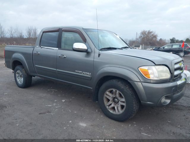 2005 TOYOTA TUNDRA 5TBBT44175S487293