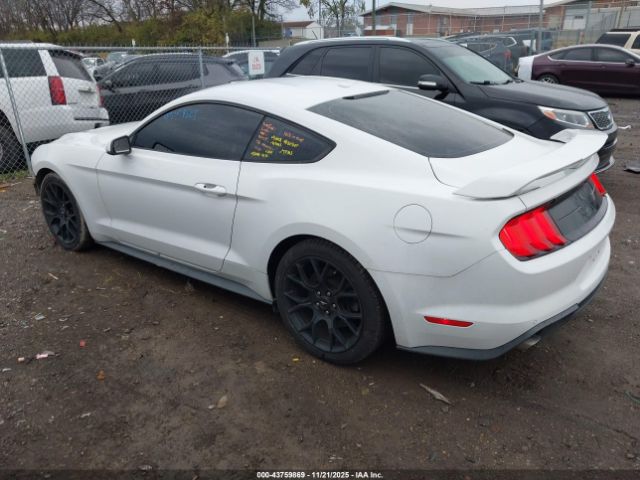2019 FORD MUSTANG 1FA6P8TH3K5112163 Photo 2