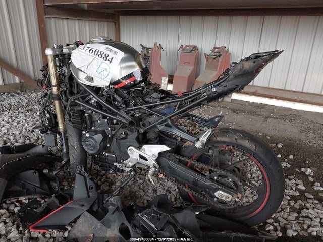 Cf Moto 450ss 2023 LCEPESLA2P6005529 Image 3