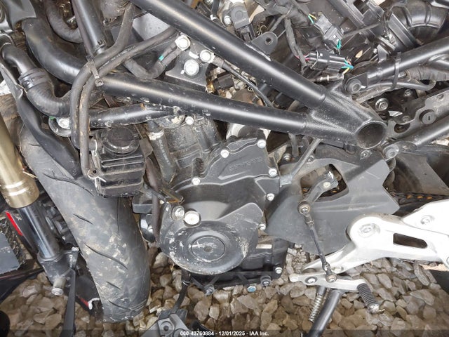 Cf Moto 450ss 2023 LCEPESLA2P6005529 Image 9