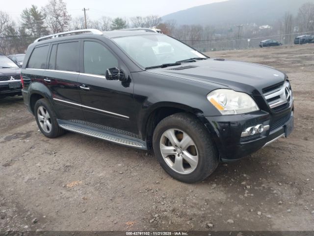 2010 MERCEDES-BENZ GL 450 4JGBF7BE7AA617542