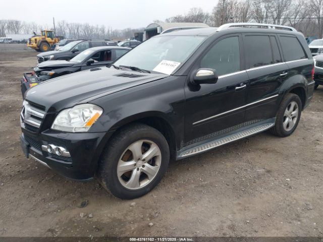 2010 MERCEDES-BENZ GL 450 4JGBF7BE7AA617542 Photo 1