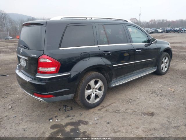 2010 MERCEDES-BENZ GL 450 4JGBF7BE7AA617542 Photo 3