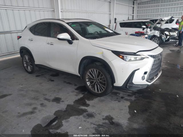 2022 LEXUS NX 350H JTJGKCEZ1N5002493
