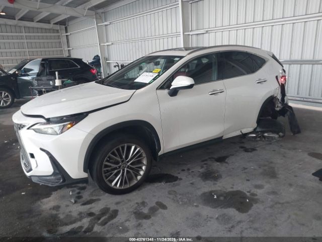 2022 LEXUS NX 350H JTJGKCEZ1N5002493 Photo 1