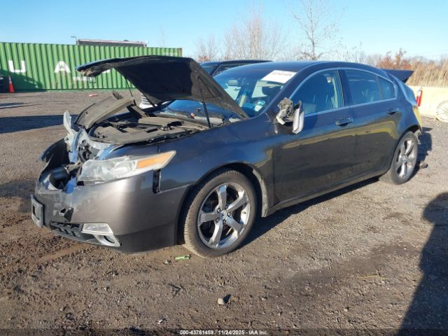 2010 ACURA TL 19UUA9F23AA001670 Photo 1