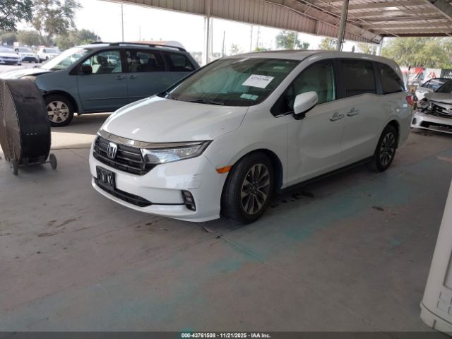 2023 HONDA ODYSSEY 5FNRL6H65PB020122 Photo 1