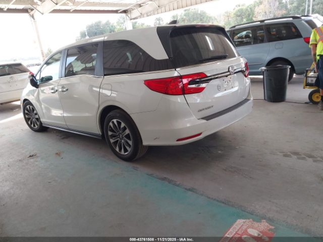 2023 HONDA ODYSSEY 5FNRL6H65PB020122 Photo 2