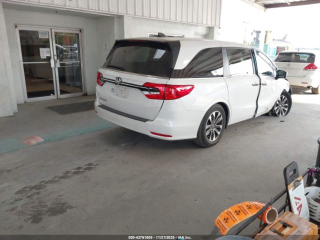 2023 HONDA ODYSSEY 5FNRL6H65PB020122 Photo 3