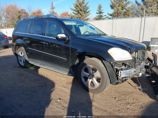 2010 MERCEDES-BENZ GL 450 4JGBF7BE7AA564003