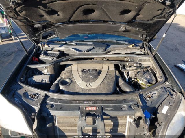 2010 MERCEDES-BENZ GL 450 4JGBF7BE7AA564003 Photo 9