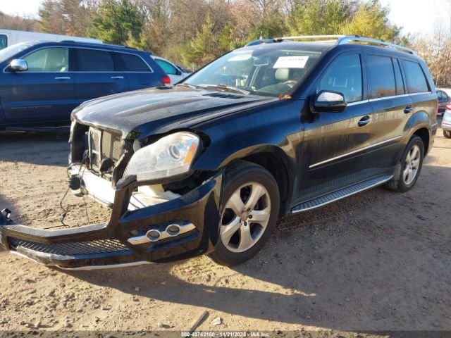 2010 MERCEDES-BENZ GL 450 4JGBF7BE7AA564003 Photo 1
