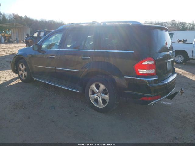 2010 MERCEDES-BENZ GL 450 4JGBF7BE7AA564003 Photo 2
