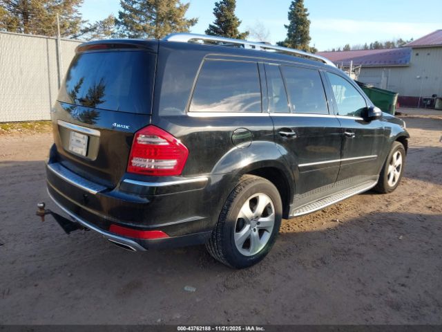 2010 MERCEDES-BENZ GL 450 4JGBF7BE7AA564003 Photo 3