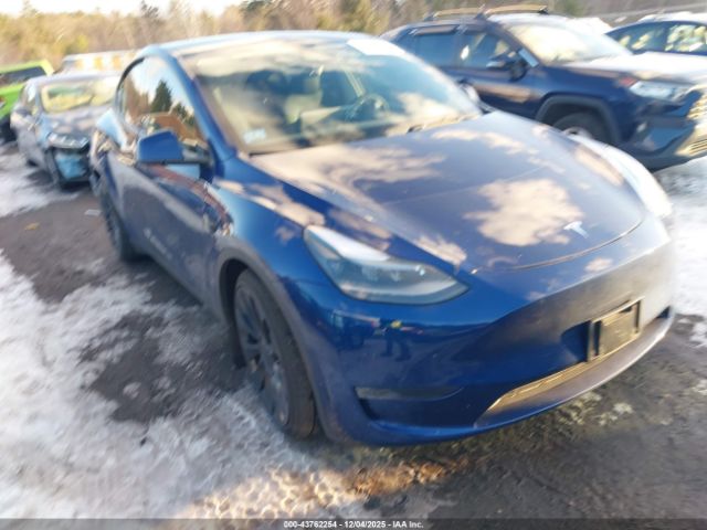2024 TESLA MODEL Y 7SAYGDEF9RA295956