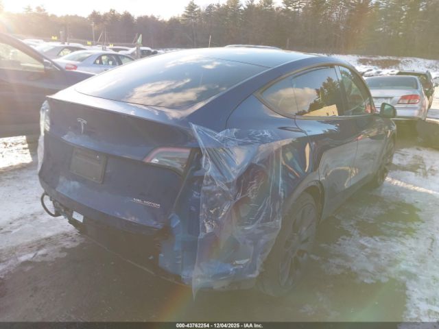 2024 TESLA MODEL Y 7SAYGDEF9RA295956 Photo 3