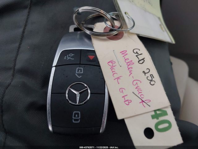 2020 MERCEDES-BENZ GLB 250 WDC4M4HB3LW010763 Photo 10