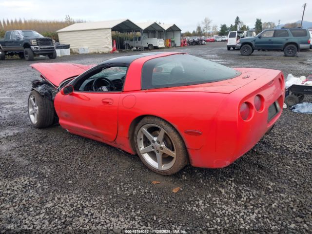 1997 CHEVROLET CORVETTE 1G1YY22G0V5100989 Photo 2