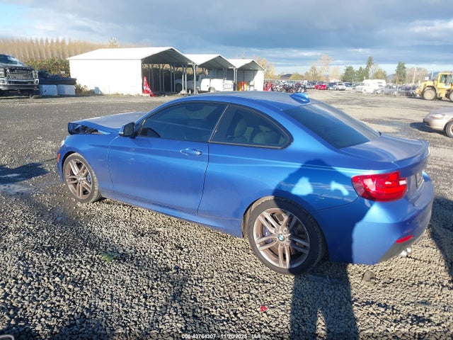 2014 BMW 228I WBA1F5C58EVV99745 Photo 2