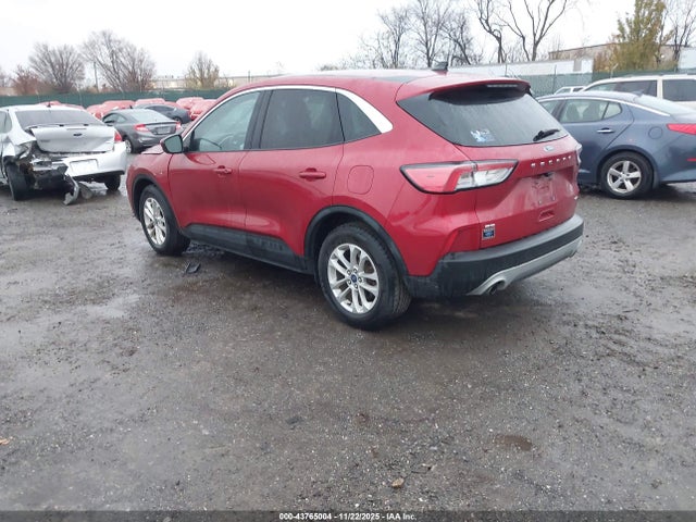 2020 FORD ESCAPE 1FMCU0G60LUB64949 Photo 2