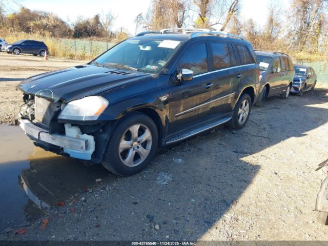 2010 MERCEDES-BENZ GL 450 4JGBF7BE9AA578906 Photo 1