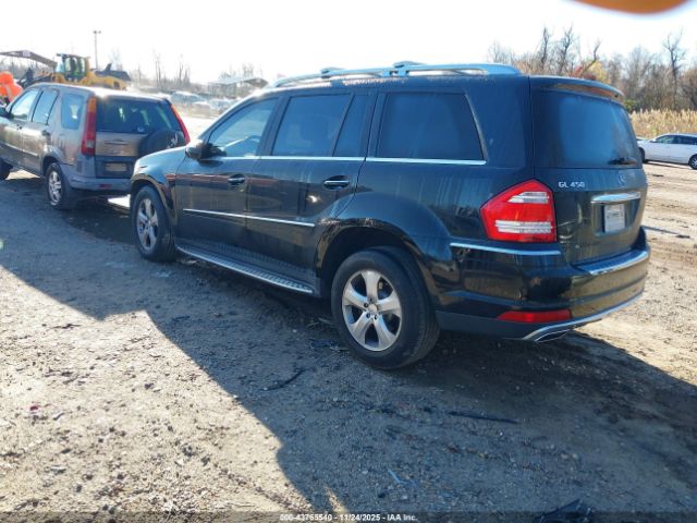 2010 MERCEDES-BENZ GL 450 4JGBF7BE9AA578906 Photo 2