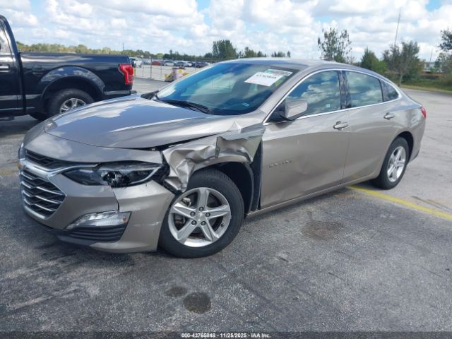 2024 CHEVROLET MALIBU 1G1ZD5ST8RF142454 Photo 1