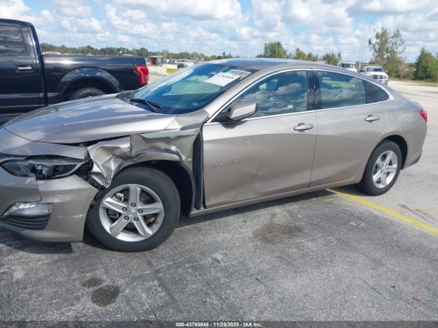 2024 CHEVROLET MALIBU 1G1ZD5ST8RF142454 Photo 5