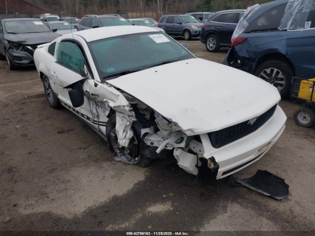 2007 FORD MUSTANG 1ZVHT80N375243543
