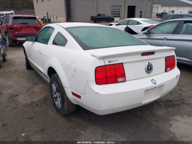 2007 FORD MUSTANG 1ZVHT80N375243543 Photo 2