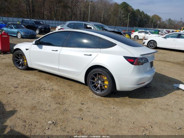 2023 TESLA MODEL 3 5YJ3E1EA4PF497183 Photo 2