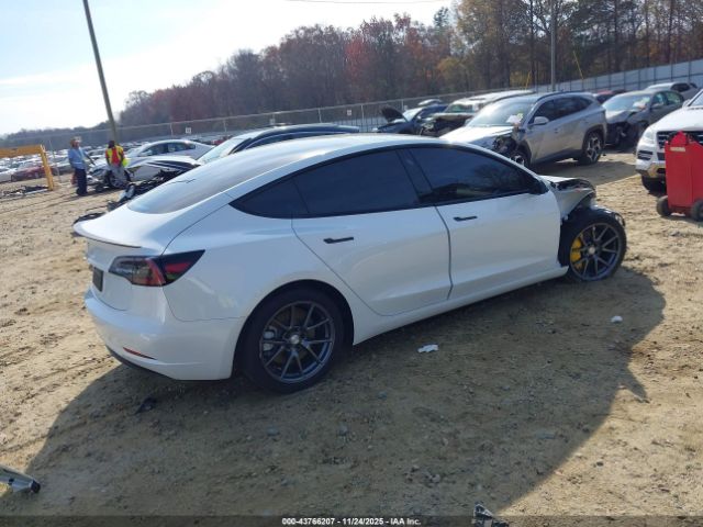 2023 TESLA MODEL 3 5YJ3E1EA4PF497183 Photo 3