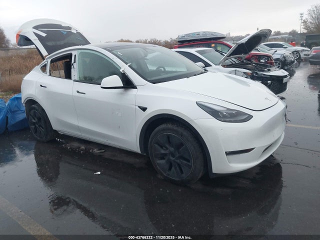 2024 TESLA MODEL Y 7SAYGAEE4RF149473 Photo 0