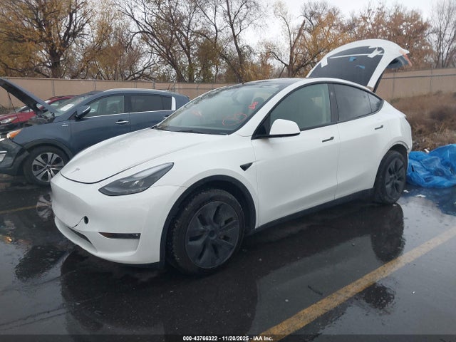 2024 TESLA MODEL Y 7SAYGAEE4RF149473 Photo 1