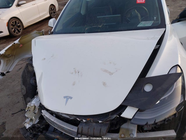 2023 TESLA MODEL 3 5YJ3E1EA7PF604159 Photo 9