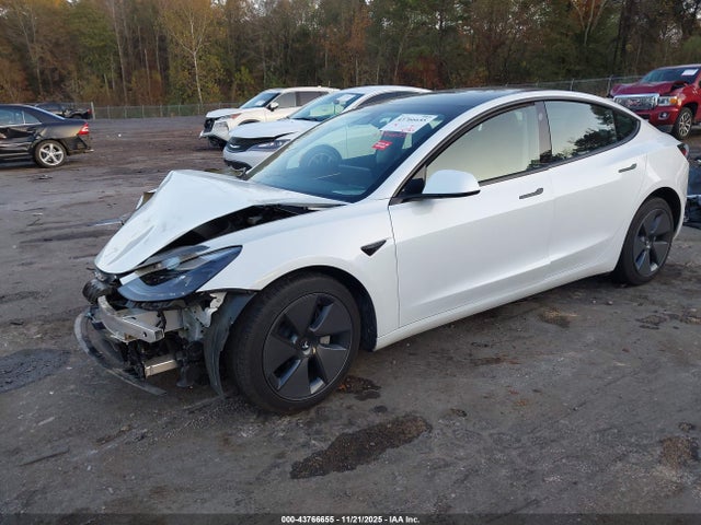 2023 TESLA MODEL 3 5YJ3E1EA7PF604159 Photo 1