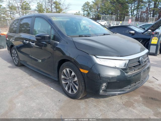 2024 HONDA ODYSSEY 5FNRL6H65RB018907