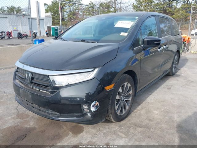 2024 HONDA ODYSSEY 5FNRL6H65RB018907 Photo 1