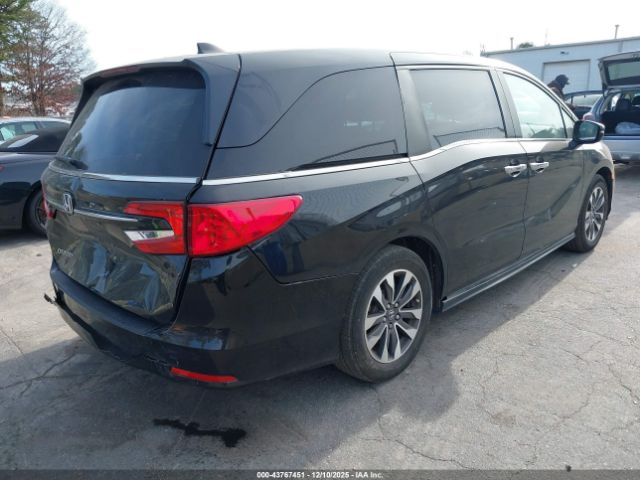 2024 HONDA ODYSSEY 5FNRL6H65RB018907 Photo 3
