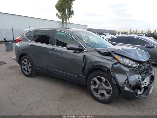 2019 HONDA CR-V 5J6RW1H52KA025260