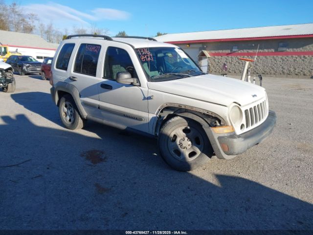 2006 JEEP LIBERTY 1J4GL48K16W231296
