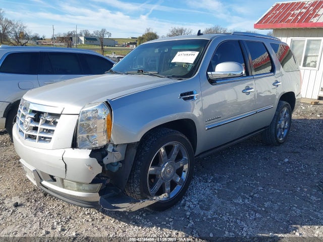 2011 CADILLAC ESCALADE 1GYS4CEF5BR185330 Photo 1