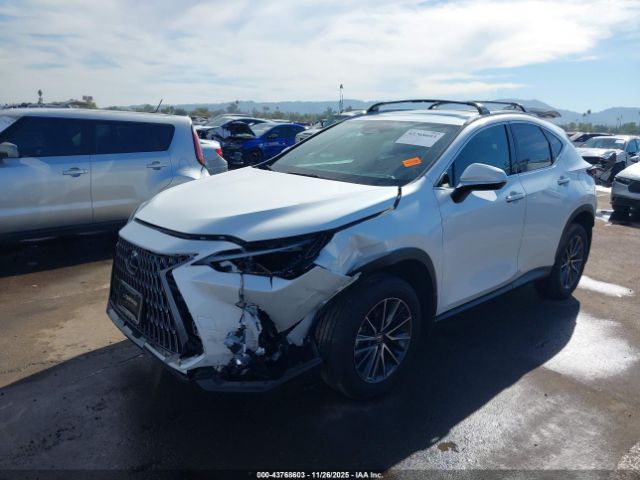 2024 LEXUS NX 350H 2T2AKCEZ9RC018275 Photo 5