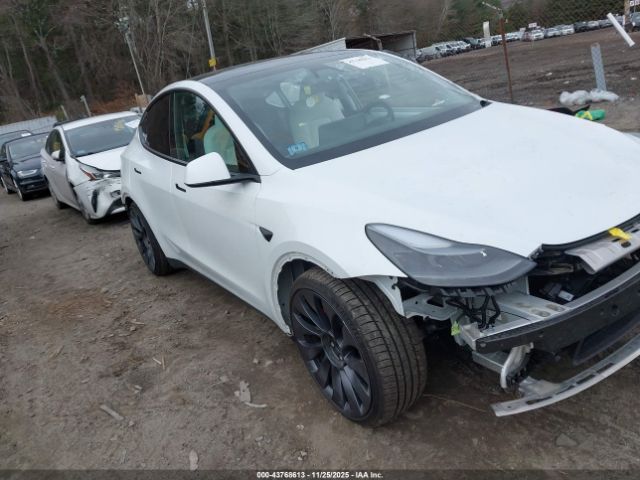 2024 TESLA MODEL Y 7SAYGDEF7RA266469