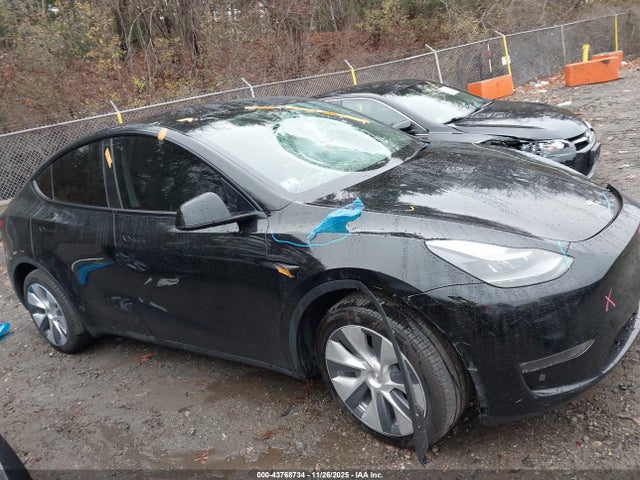 2024 TESLA MODEL Y 7SAYGDEE4RA231024 Photo 0