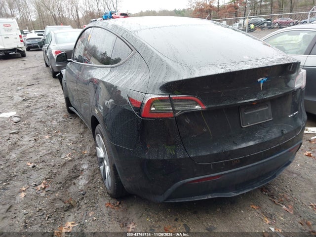 2024 TESLA MODEL Y 7SAYGDEE4RA231024 Photo 2