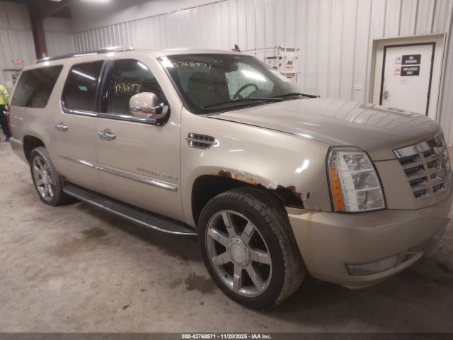 2007 CADILLAC ESCALADE ESV 1GYFK66847R416878 Photo 0