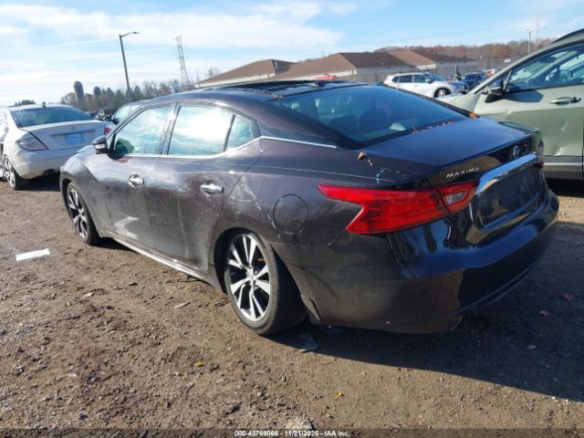 2016 NISSAN MAXIMA 1N4AA6AP5GC382430 Photo 2