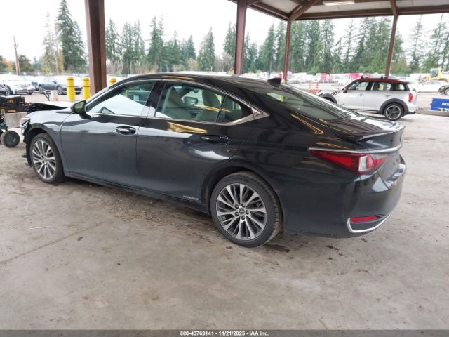 2021 LEXUS ES 300H 58ADA1C13MU012834 Photo 2